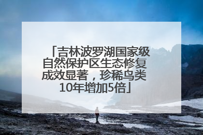 吉林波罗湖国家级自然保护区生态修复成效显著，珍稀鸟类10年增加5倍