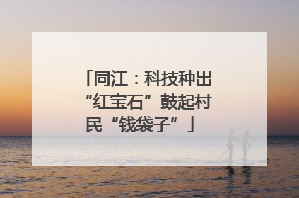 同江：科技种出“红宝石”鼓起村民“钱袋子”