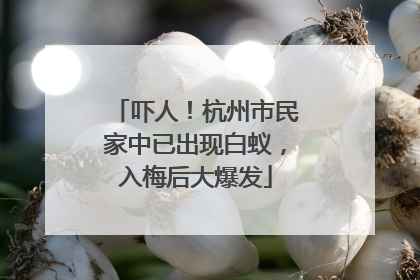 吓人！杭州市民家中已出现白蚁，入梅后大爆发