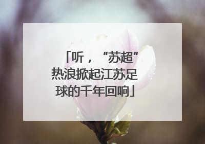 听，“苏超”热浪掀起江苏足球的千年回响