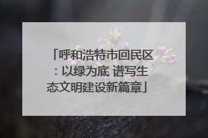 呼和浩特市回民区：以绿为底 谱写生态文明建设新篇章