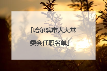 哈尔滨市人大常委会任职名单