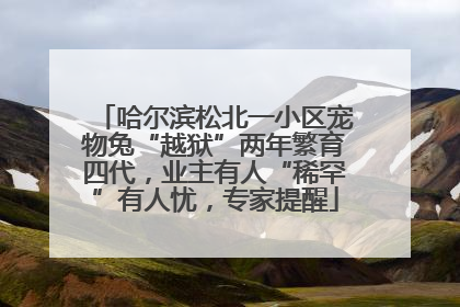 哈尔滨松北一小区宠物兔“越狱”两年繁育四代，业主有人“稀罕”有人忧，专家提醒