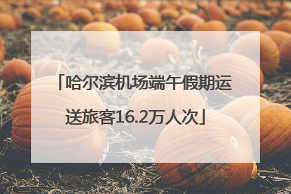 哈尔滨机场端午假期运送旅客16.2万人次