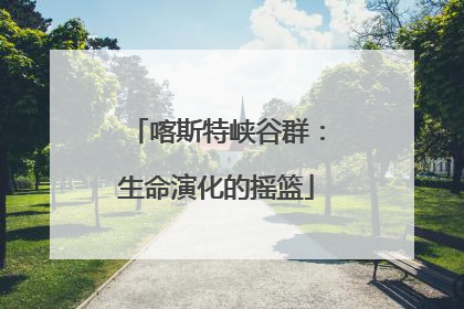 喀斯特峡谷群：生命演化的摇篮