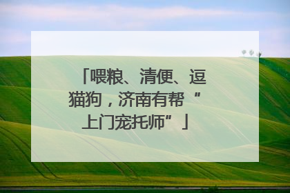 喂粮、清便、逗猫狗，济南有帮“上门宠托师”