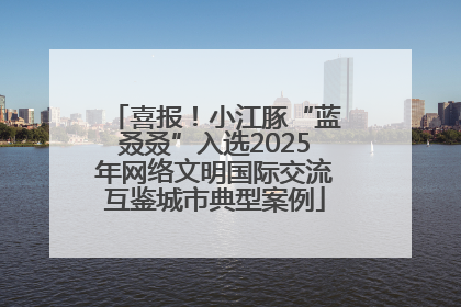 喜报！小江豚“蓝叒叒”入选2025年网络文明国际交流互鉴城市典型案例