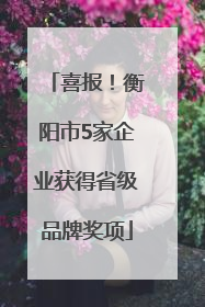 喜报！衡阳市5家企业获得省级品牌奖项