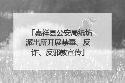 嘉祥县公安局纸坊派出所开展禁毒、反诈、反邪教宣传