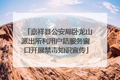嘉祥县公安局卧龙山派出所利用户籍服务窗口开展禁毒知识宣传