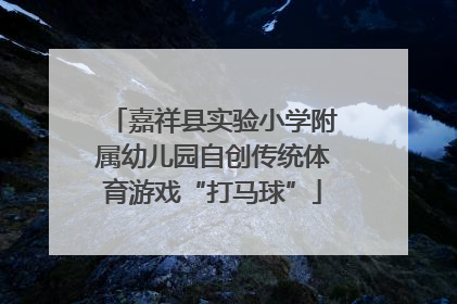 嘉祥县实验小学附属幼儿园自创传统体育游戏“打马球”