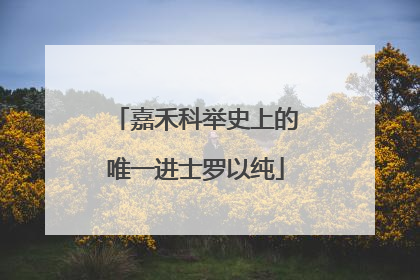 嘉禾科举史上的唯一进士罗以纯