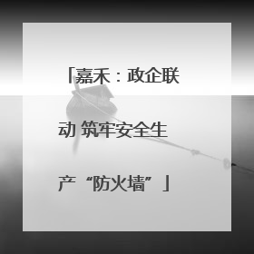 嘉禾：政企联动 筑牢安全生产“防火墙”