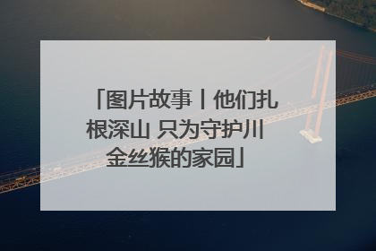 图片故事丨他们扎根深山 只为守护川金丝猴的家园