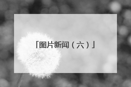 图片新闻（六）