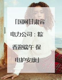 国网甘肃省电力公司：粽香迎端午 保电护安康