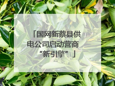 国网新蔡县供电公司启动营商“新引擎”