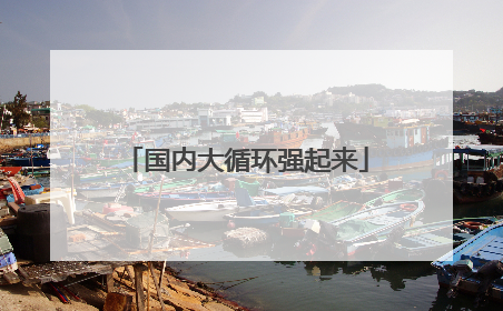 国内大循环强起来