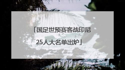 国足世预赛客战印尼25人大名单出炉