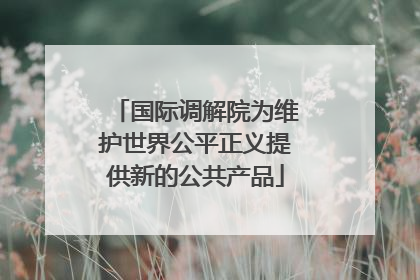 国际调解院为维护世界公平正义提供新的公共产品