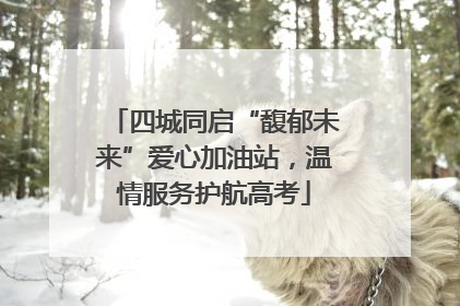 四城同启“馥郁未来”爱心加油站，温情服务护航高考