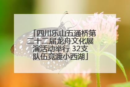 四川乐山五通桥第二十二届龙舟文化展演活动举行 32支队伍竞渡小西湖