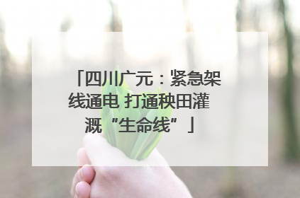 四川广元：紧急架线通电 打通秧田灌溉“生命线”