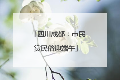四川成都：市民赏民俗迎端午