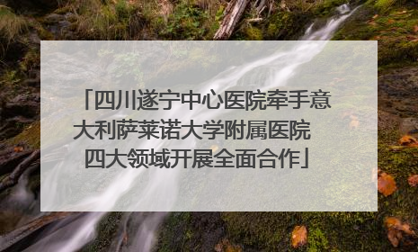 四川遂宁中心医院牵手意大利萨莱诺大学附属医院 四大领域开展全面合作