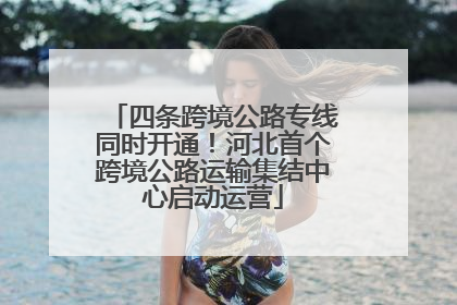 四条跨境公路专线同时开通！河北首个跨境公路运输集结中心启动运营