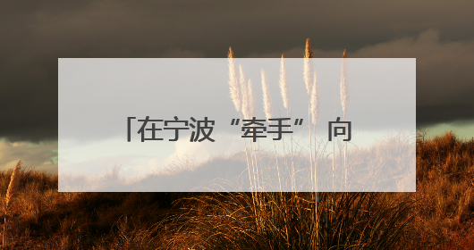 在宁波“牵手” 向中国大市场“进军”