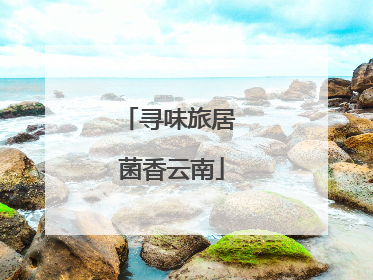 寻味旅居 菌香云南