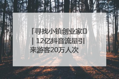 寻找小镇创业家㊱｜12亿抖音流量引来游客20万人次 “襄阳许三多”爆改家乡打造网红村