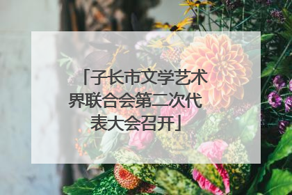 子长市文学艺术界联合会第二次代表大会召开