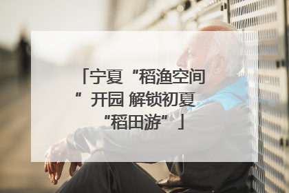 宁夏“稻渔空间”开园 解锁初夏“稻田游”