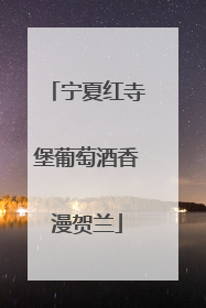 宁夏红寺堡葡萄酒香漫贺兰