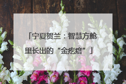 宁夏贺兰：智慧方舱里长出的“金疙瘩”