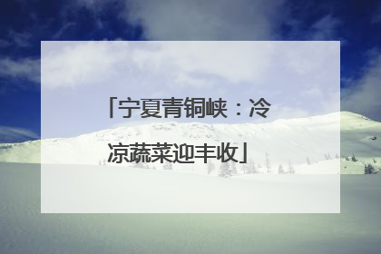 宁夏青铜峡：冷凉蔬菜迎丰收