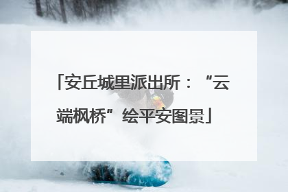 安丘城里派出所：“云端枫桥”绘平安图景
