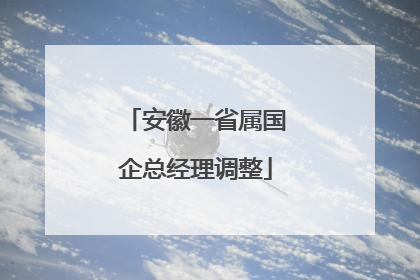 安徽一省属国企总经理调整
