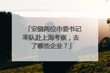 安徽两位市委书记率队赴上海考察，去了哪些企业？