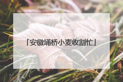 安徽埇桥小麦收割忙