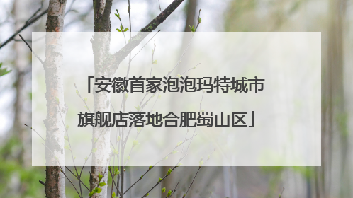 安徽首家泡泡玛特城市旗舰店落地合肥蜀山区