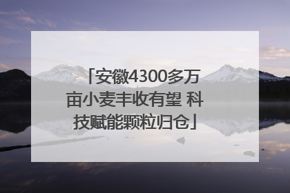 安徽4300多万亩小麦丰收有望 科技赋能颗粒归仓