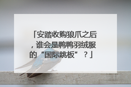 安踏收购狼爪之后，谁会是鸭鸭羽绒服的“国际跳板”？