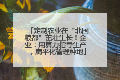 定制农业在“北国粮都”茁壮生长！企业：用算力指导生产，扁平化管理种地