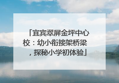 宜宾翠屏金坪中心校：幼小衔接架桥梁，探秘小学初体验