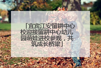 宜宾江安留耕中心校迎接留耕中心幼儿园萌娃进校参观，共筑成长桥梁