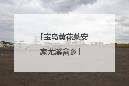 宝岛黄花菜安家尤溪畲乡