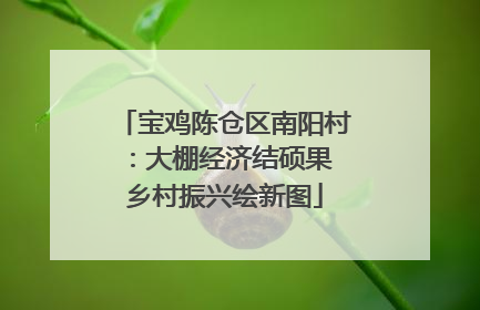 宝鸡陈仓区南阳村：大棚经济结硕果 乡村振兴绘新图